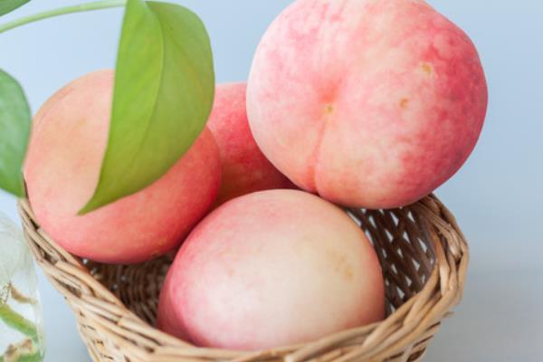 阳山水蜜桃什么时候上市(几月) 阳山水蜜桃市场价格多少钱一斤