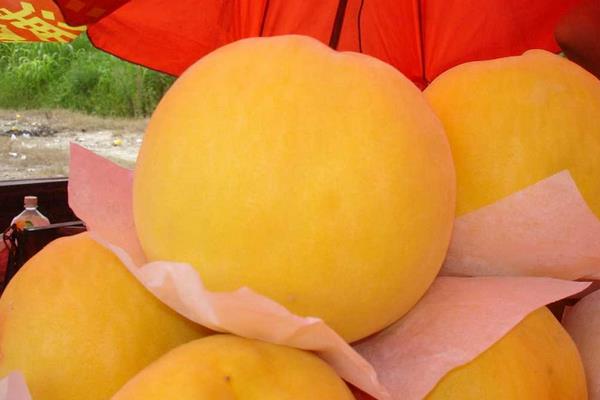 黄桃市场价格多少钱一斤 黄桃的营养价值