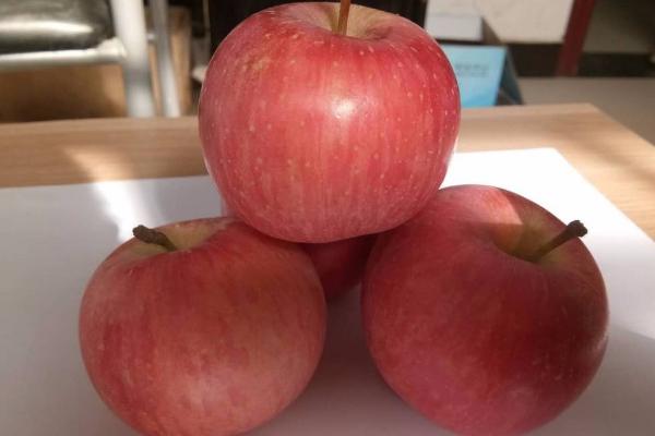 秦冠苹果和富士苹果的区别是什么(哪个好吃) 红富士苹果对人的身体有什么好处