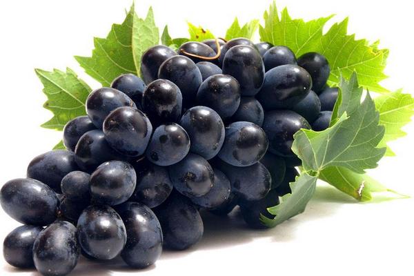 提子是葡萄吗 提子和葡萄的区别是什么