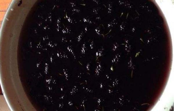 桑葚怎么吃 桑葚吃多了会怎样