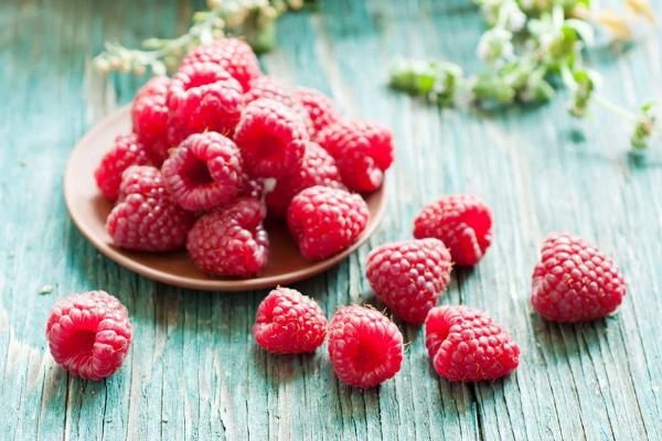 覆盘子功效与作用 覆盘子营养价值