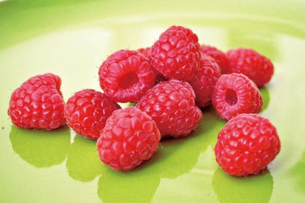 覆盘子功效与作用 覆盘子营养价值