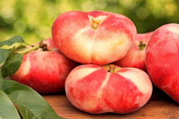 蟠桃什么时候成熟(几月)