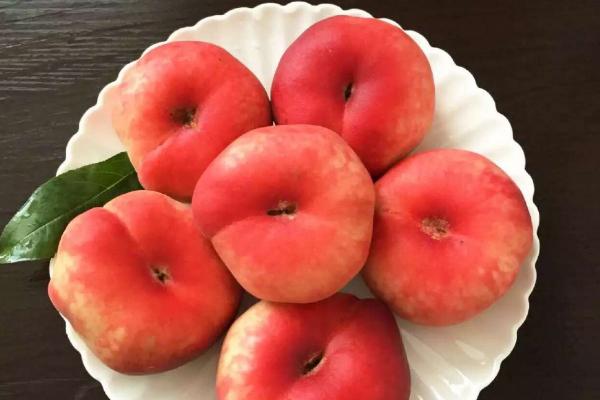 蟠桃什么时候成熟(几月)