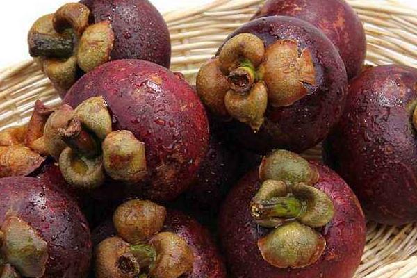 山竹图片大全 山竹长在哪里