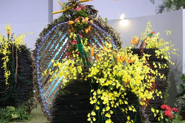 文心兰一年开几次花(几月开) 文心兰的品种