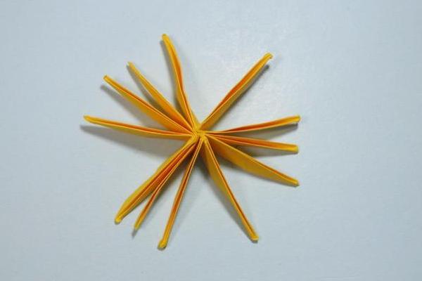 菊花简笔画怎么画（图解步骤） 菊花折纸步骤图解