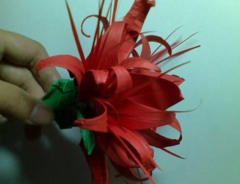 彼岸花的折法(图解步骤) 彼岸花怎么画