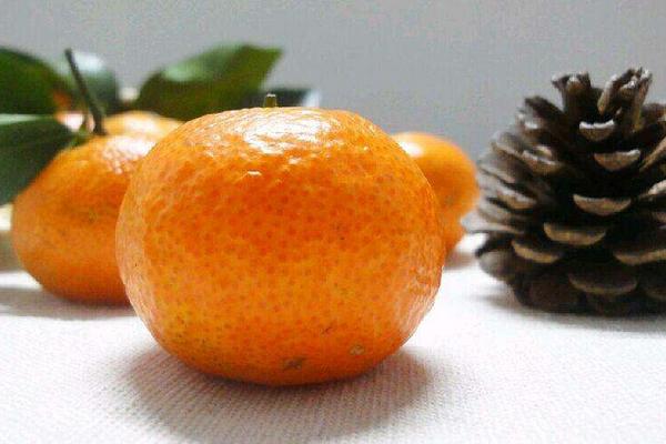 砂糖桔为什么这么甜 砂糖桔是热性还是凉性水果