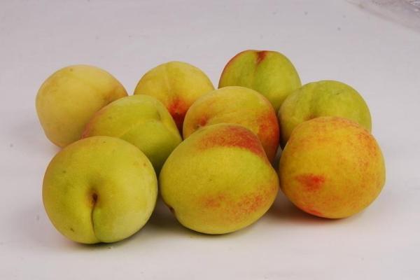 黄桃什么时候成熟(几月) 黄桃是什么季节的水果