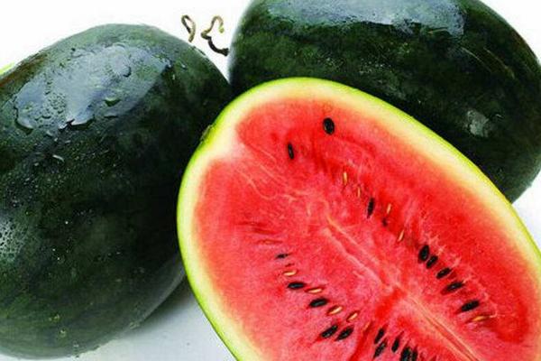 黑美人西瓜怎么挑选 黑美人西瓜怎么看好不好(红不红)