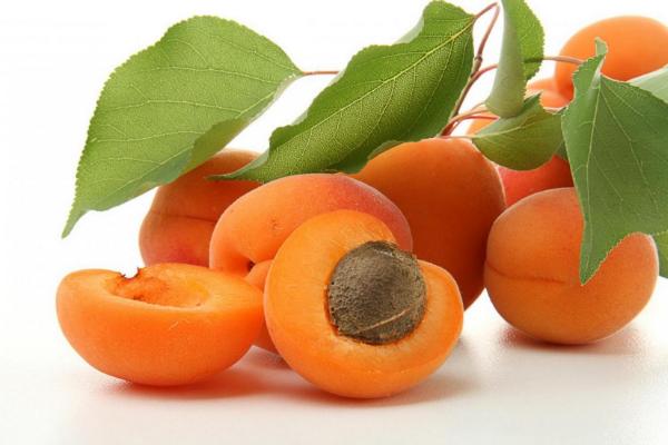 杏子什么时候成熟(几月) 杏子是什么季节的水果