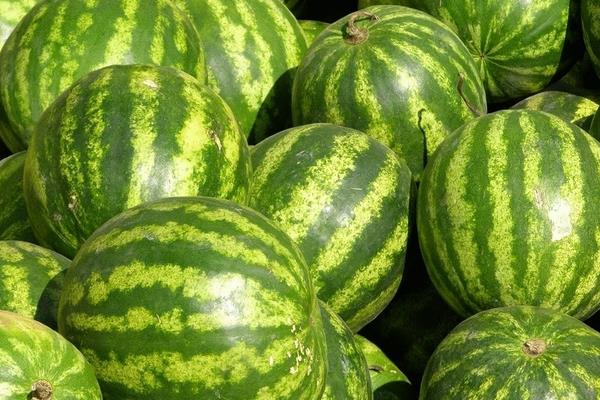 西瓜皮雕刻简单教程(图解) 西瓜皮雕刻图片大全