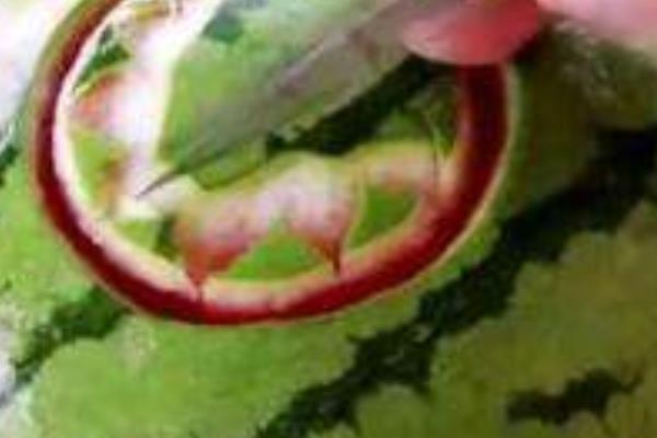 西瓜皮雕刻简单教程(图解) 西瓜皮雕刻图片大全