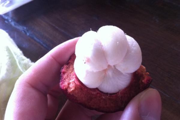 山竹怎么剥 山竹怎么打开