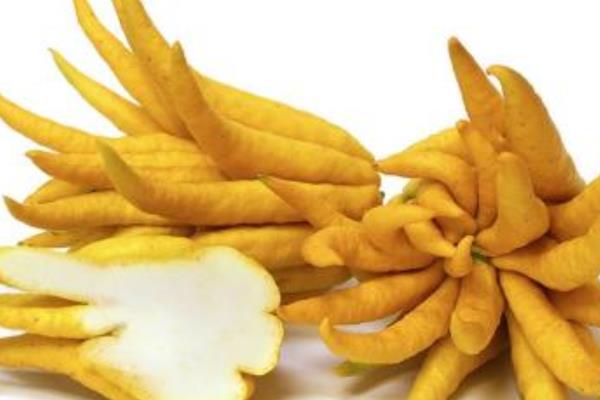 佛手柑的功效与作用及禁忌佛手柑营养价值