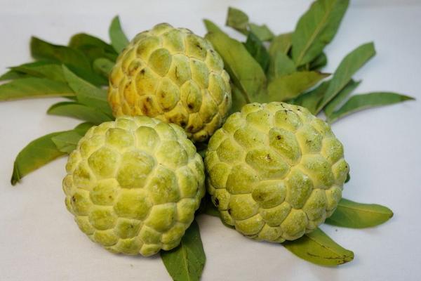 番荔枝和释迦的区别是什么 释迦果的营养价值