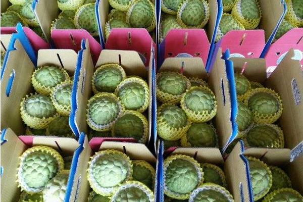 番荔枝和释迦的区别是什么 释迦果的营养价值