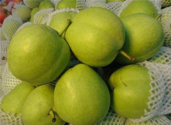 早酥梨市场价格多少钱一斤 早酥梨为什么这么便宜