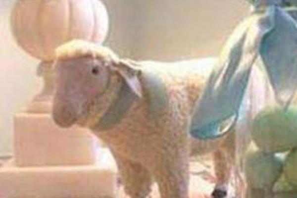 属羊的和什么属相最配(男、女) 属羊的几月出生最好