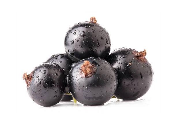 黑醋栗和黑加仑一样吗(区别是什么)黑醋栗营养价值