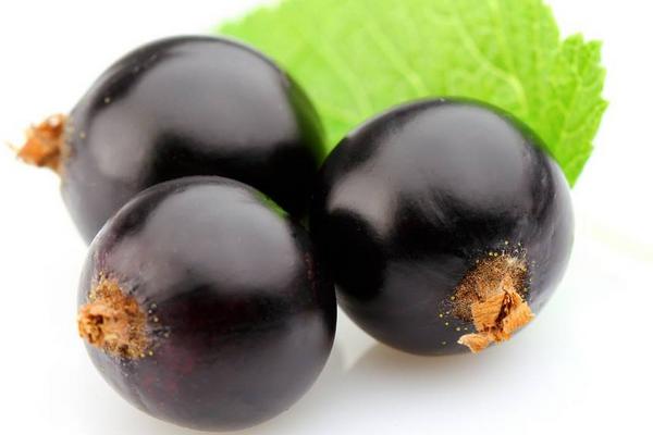 黑醋栗和黑加仑一样吗(区别是什么)黑醋栗营养价值