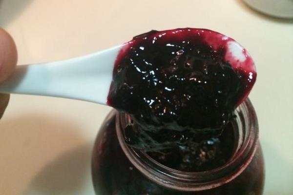 黑醋栗和黑加仑一样吗(区别是什么)黑醋栗营养价值