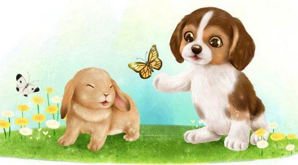 属狗的今年多大(2018年) 属狗今年运势如何(财运、姻缘)