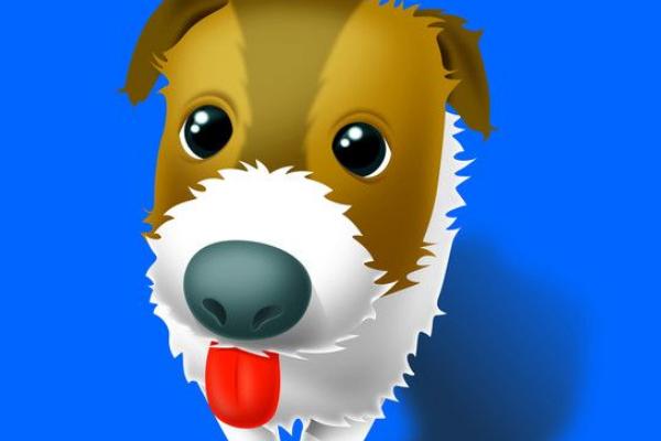 属狗的今年多大(2018年) 属狗今年运势如何(财运、姻缘)