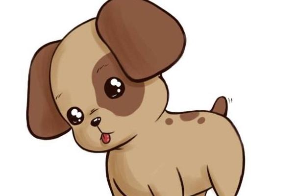 属狗的今年多大(2018年) 属狗今年运势如何(财运、姻缘)