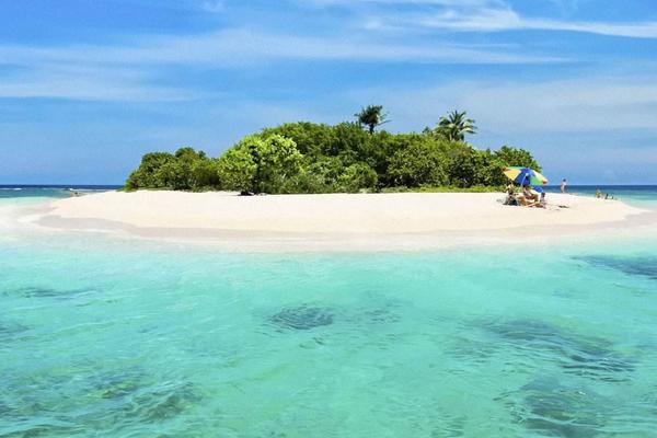 属狗的今年多大(2018年) 属狗今年运势如何(财运、姻缘)