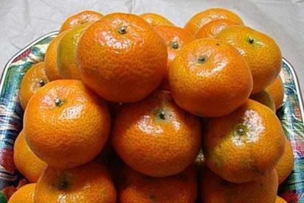 砂糖桔是什么季节的水果 砂糖桔几月熟(上市)