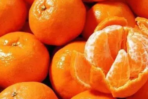 砂糖桔是什么季节的水果 砂糖桔几月熟(上市)