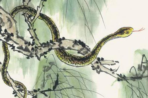 属猴的和什么属相最配(男、女) 属猴的几月出生最好