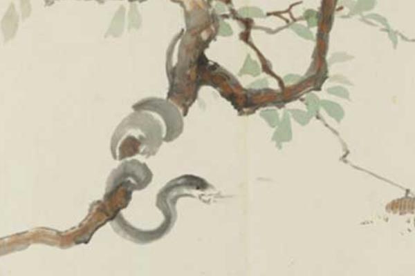 属猴的和什么属相最配(男、女) 属猴的几月出生最好