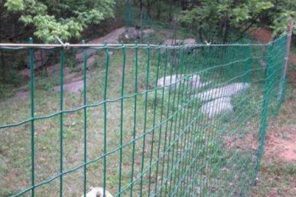 养鸡围栏铁丝网价格多少钱一卷(1.5米*30米) 养鸡围栏铁丝网的种类