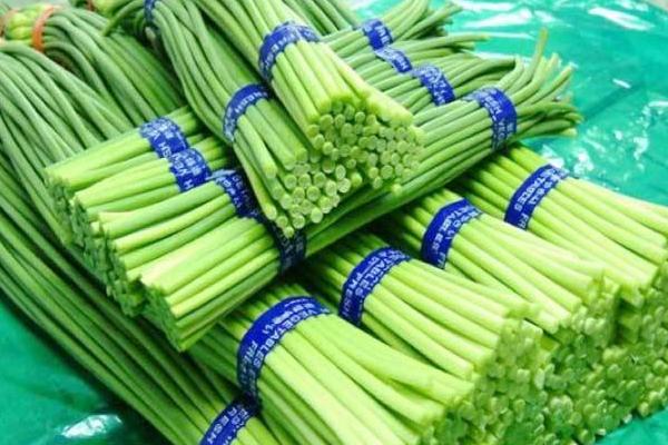 蒜苔市场价格多少钱一斤 蒜苔产地是哪里