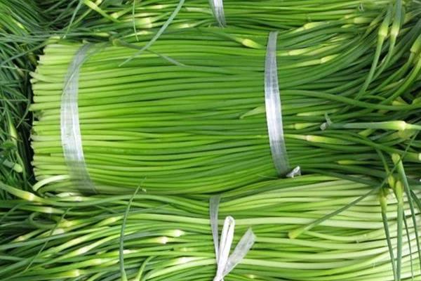 蒜苔市场价格多少钱一斤 蒜苔产地是哪里