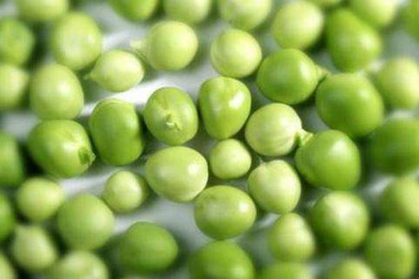 豌豆怎么吃(煮) 豌豆不能和什么一起吃