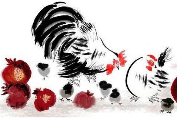 属鸡的和什么属相最配(男、女) 属鸡的几月出生最好