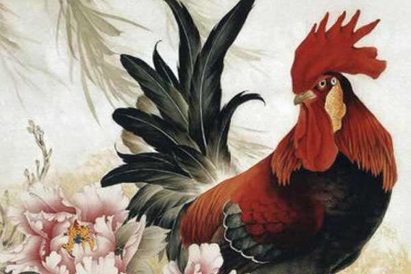 属鸡的今年多大（2018年） 属鸡今年运势如何（财运、姻缘）