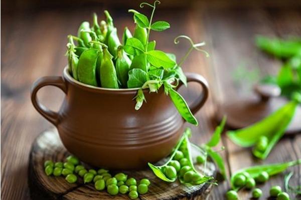 豌豆没煮熟有毒吗 豌豆属于豆制品吗