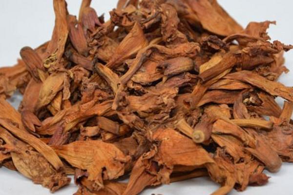 泡桐开花吗(什么时候开花) 泡桐花能吃吗