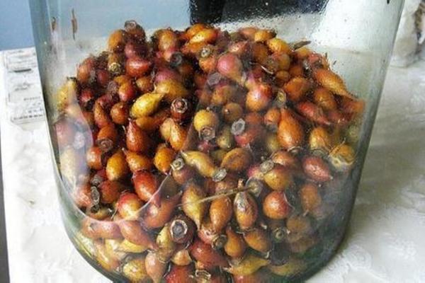 金樱子泡酒的功效与作用 金樱子怎么泡酒(配方)