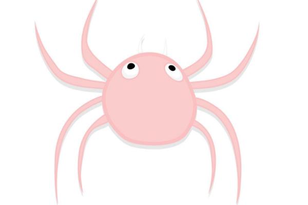 梦见蜘蛛是什么意思 女人梦见蜘蛛爬到身上咬人有什么预兆