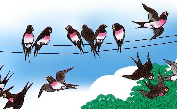 梦见小燕子是什么意思 梦到燕子窝里有很多小燕子有什么预兆