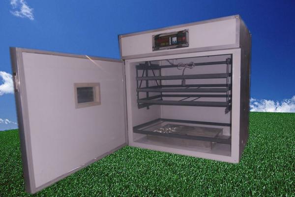 小鸡孵化机市场价格多少钱一台 小鸡孵化设备有哪些