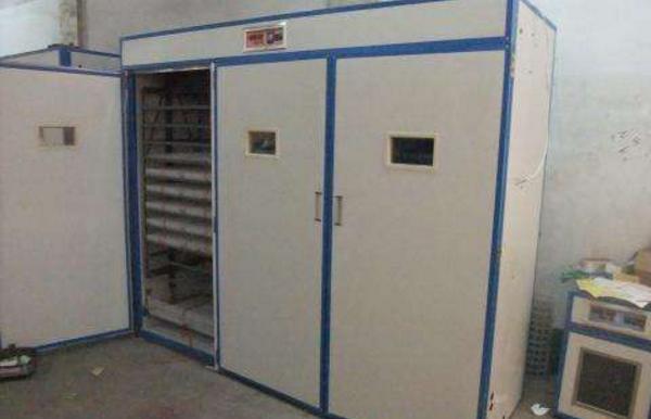 小鸡孵化机市场价格多少钱一台 小鸡孵化设备有哪些