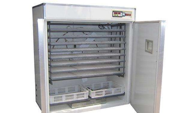 小鸡孵化机市场价格多少钱一台 小鸡孵化设备有哪些